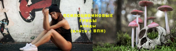 spice Няндома