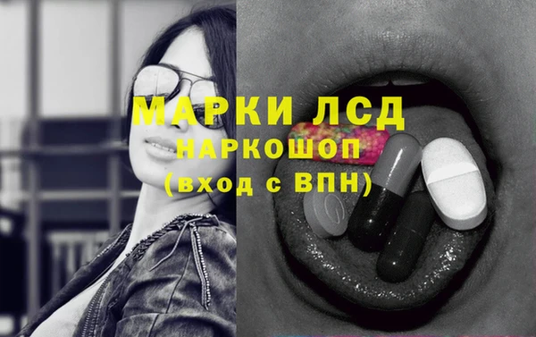 apvp Белая Холуница