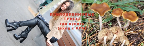 spice Няндома
