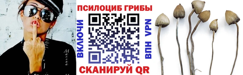 Галлюциногенные грибы мухоморы  Власиха 